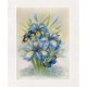 PRINT ROB POHL COLLECTION Iris D